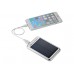 Купить портативное зарядное устройство «Bask Solar» с логотипом 