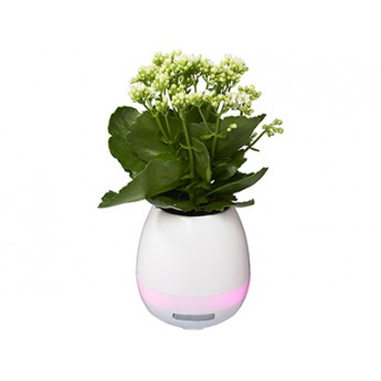 Купить Динамик «Green Thumb Flower Pot» с Bluetooth®