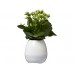 Купить Динамик «Green Thumb Flower Pot» с Bluetooth®