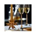 Бокалы для шампанского Crystalline (набор из 2 шт.). Swarovski с логотипом