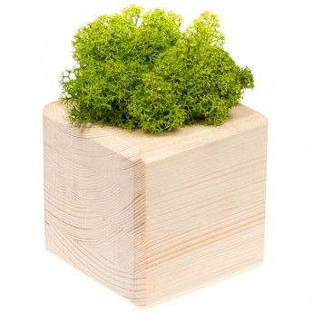 Купить Декоративная композиция GreenBox Wooden Cube, зеленый