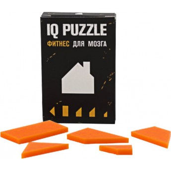 Купить Головоломка IQ Puzzle, домик