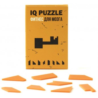 Купить Головоломка IQ Puzzle, ключ