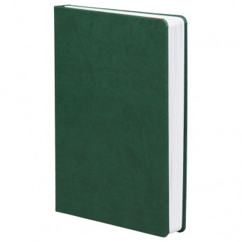 Купить Ежедневник Basis, датированный, зеленый