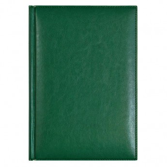 Купить Ежедневник недатированный Birmingham 145х205 мм, без календаря, с лого AvD, зеленый