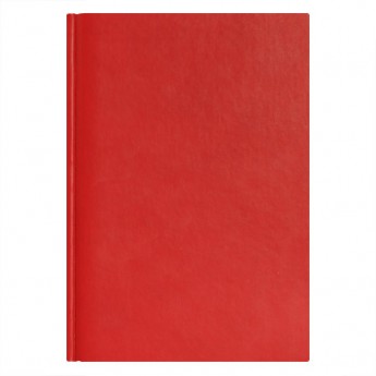 Купить Ежедневник City Winner, А5, датированный (2020 г.), красный