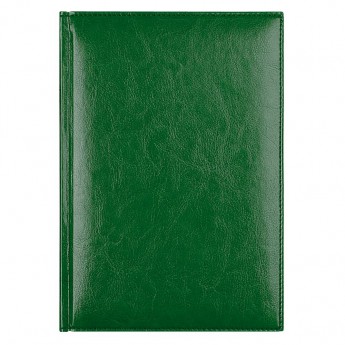 Купить Eжедневник недатированный Birmingham 145х205 мм, зеленый