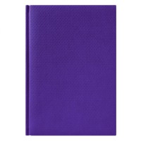 Ежедневник недатированный City Canyon 145х205 мм, фиолетовый