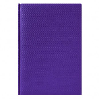 Купить Ежедневник недатированный City Canyon 145х205 мм, фиолетовый